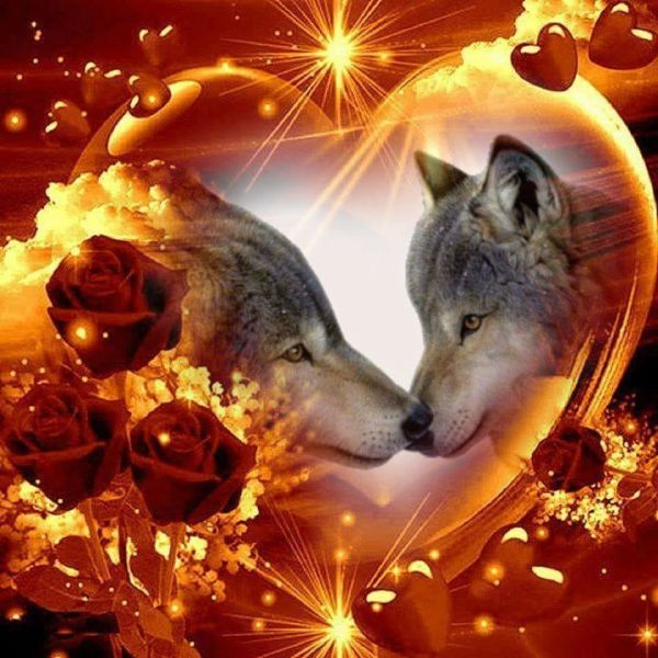 29136443_210030223065859_6513573098455826432_n